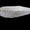 Cocoon Babynest