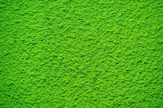 Farbe Grün